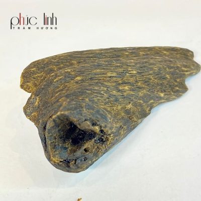 Large Phuc Linh Agarwood Lump