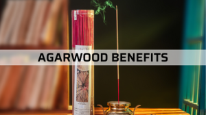 Agarwood Benefits And Uses