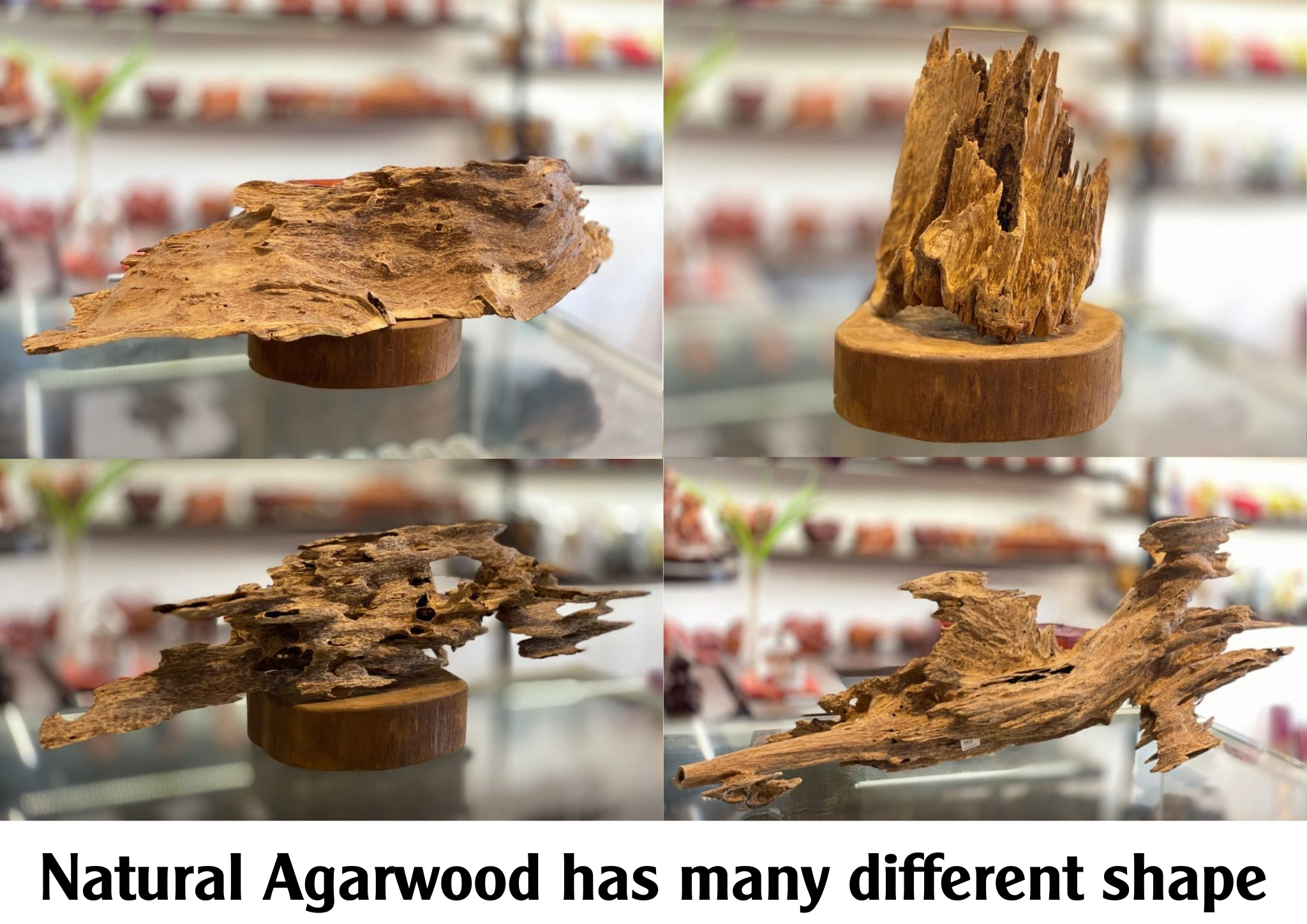 Agarwood Is Considered An Expensive Type Of Wood Because Of Its Rarity As Well As The Uses It Brings