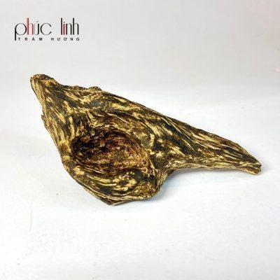 Small Phuc Linh Agarwood Lump