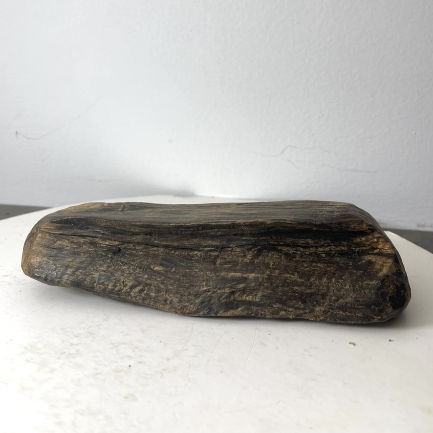 Indonesian Agarwood embryo