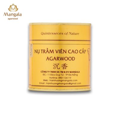 Premium Mangala Golden Box Agarwood Cone | Large - 22 Tablets