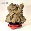 Phuc Linh Agarwood Decoration 30Cm