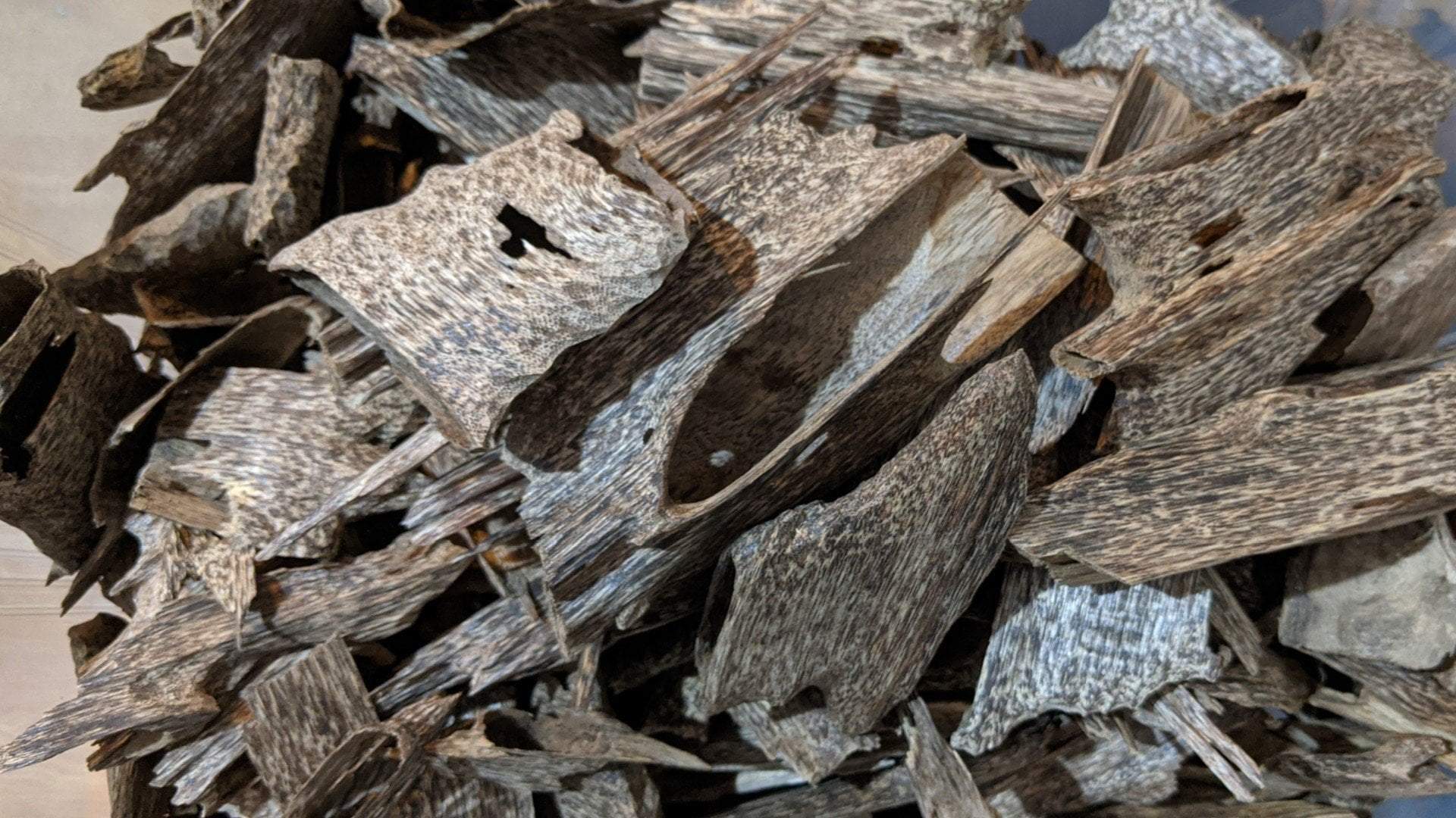 Agarwood chips are resin fragments derived from the Aquilaria tree. Aquilaria trees release resin in reaction to damage, and this resin is what gives Agarwood its characteristic aroma.
