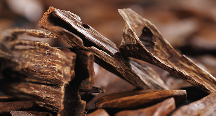 Because Of Its Numerous Virtues, Agarwood Is Considered The Most Costly Wood In The World. Agarwood Is Employed In The Following Areas: Feng Shui, Spiritual Life, Health, And Beauty