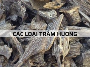 “Các loại Trầm Hương hiện nay” – Tiết lộ bí mật Trầm Hương thật giả?