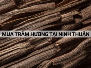 Mua Trầm Hương uy tín tại Ninh Thuận