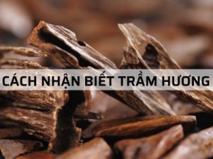 Cách nhận Biết Trầm Hương – Phân biệt Trầm Hương Thật Giả?