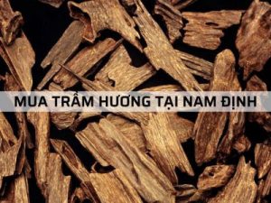 Địa chỉ bán Trầm Hương tại Bắc Giang chất lượng?